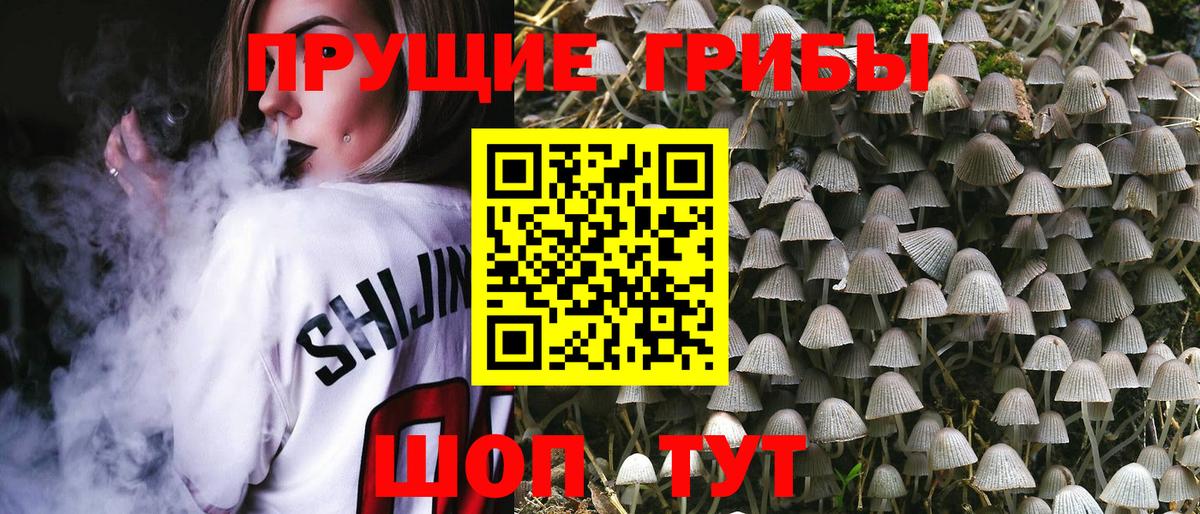 Псилоцибиновые грибы Magic Shrooms Мытищи